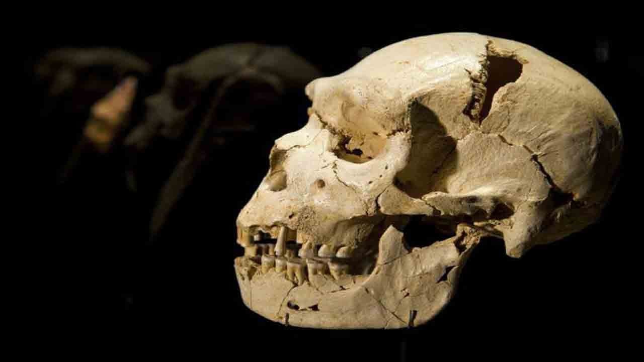 Görenler şoke oldu: Evden 100 insan kafası çıktı