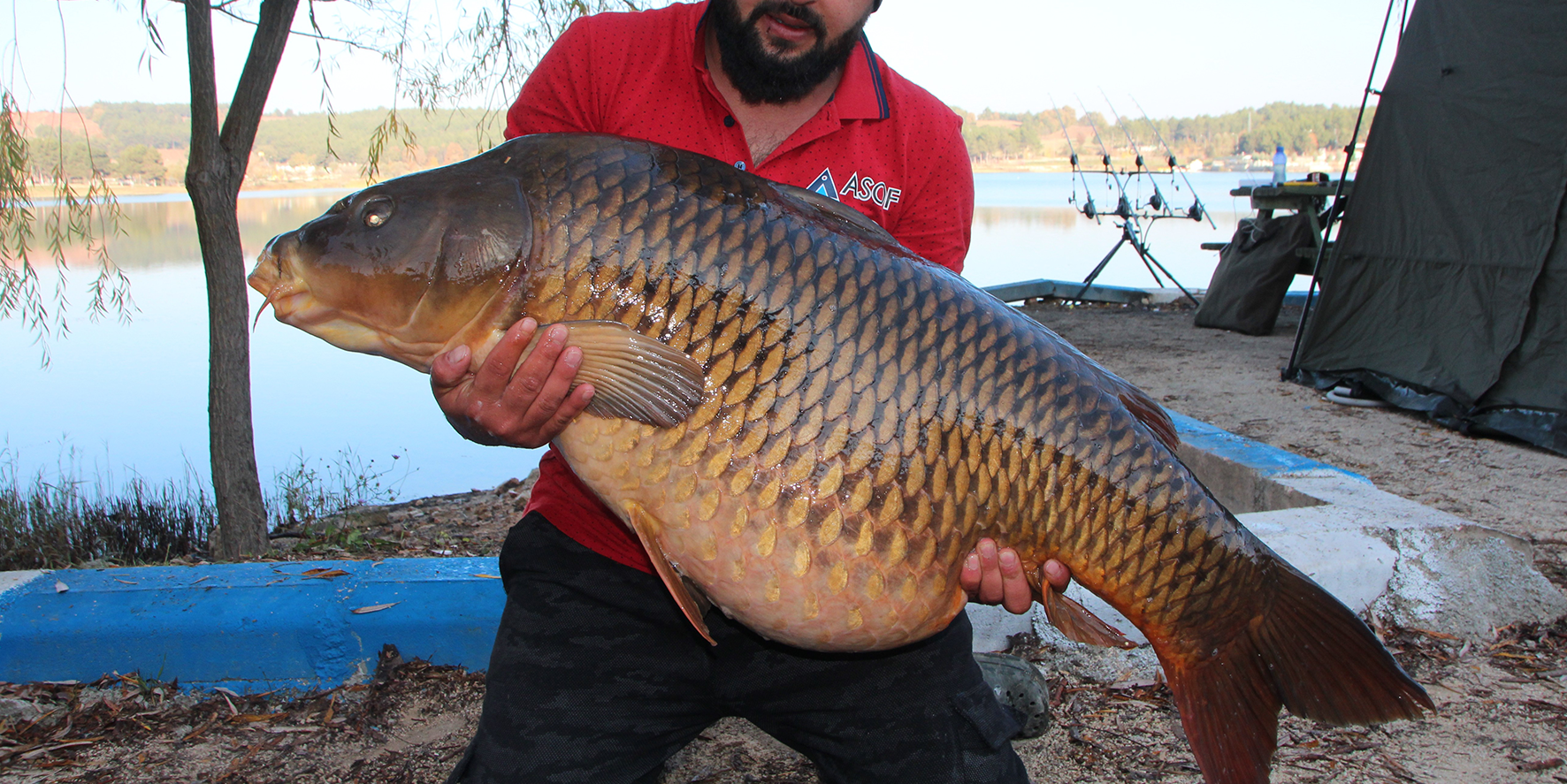 Görenler hayretler içinde kaldı: Türkiye’nin en büyüğü Bilecik’te yakalandı!