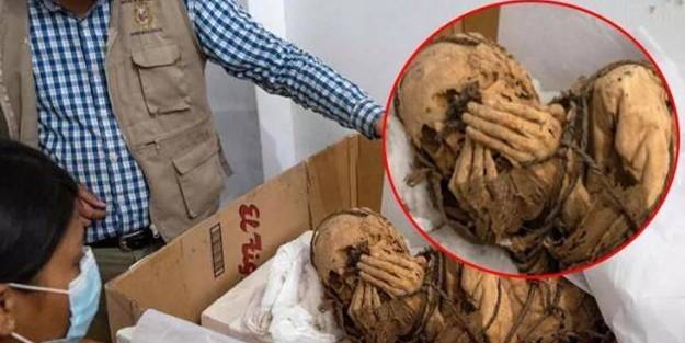 Görenleri korktu.... En az 800 yaşında!