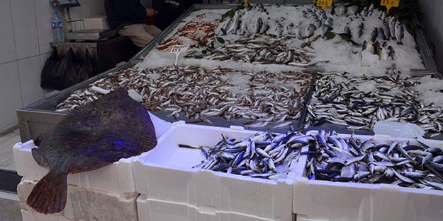Görenleri şaşırtan kalkan balığı 2 bin 80 liradan alıcısını bekliyor