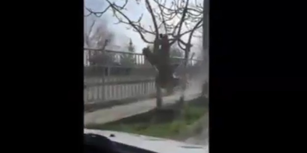 Görenleri şaşkına çeviren manzara: Kamuflaj giyen dede ağaçtan baş aşağı sallanıp komando marşı söyledi