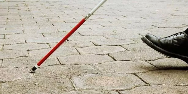 Görme engelli vatandaşlar için yeni düzenleme! Tek başına oy kullanabilecekler