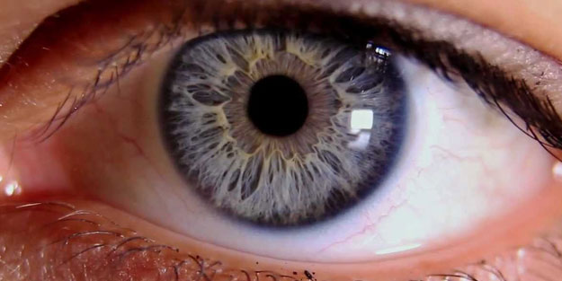 Görme ve dokunma duyuları arasında bir bağlantı keşfedildi