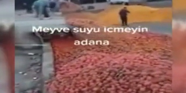 Görüntüler büyük tepki çekmişti! İşin aslı ortaya çıktı