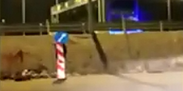 Görüntüleri izlenme rekorları kırdı! Karantinadan bakın nasıl kaçtı