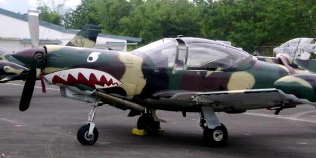 Gösteri uçağı denize çakıldı