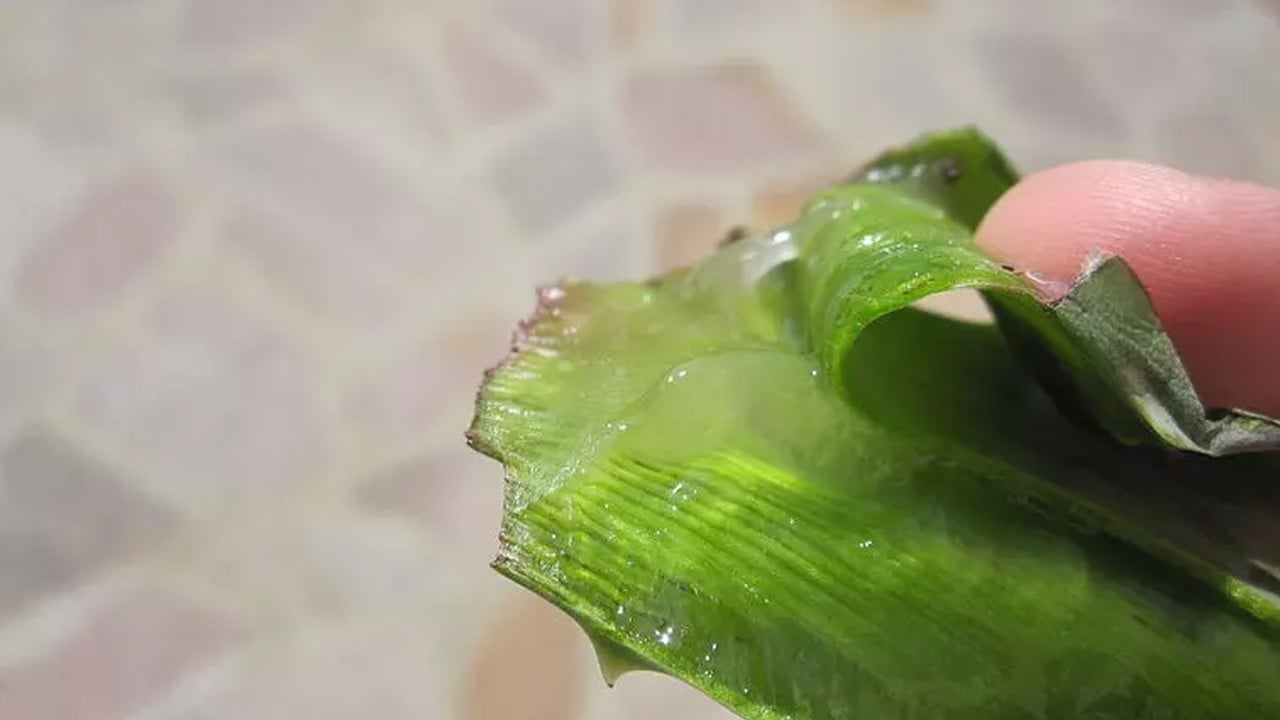 Göz altı torbalarına ne iyi gelir: Gözaltı bakımı!
