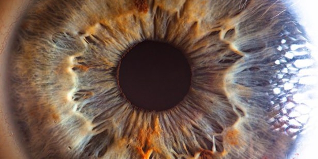 Gözlere bir de yakından bakın - FOTO