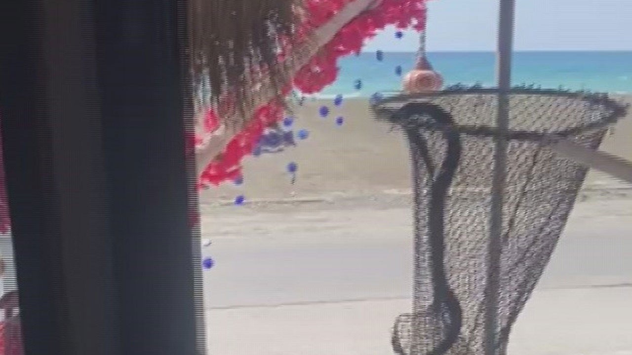 Gözlerine inanamadı! Bakın market dolabından ne çıktı