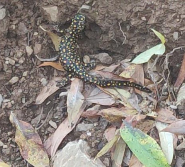 Gözlerine inanamadı! Telefonuna sarıldı