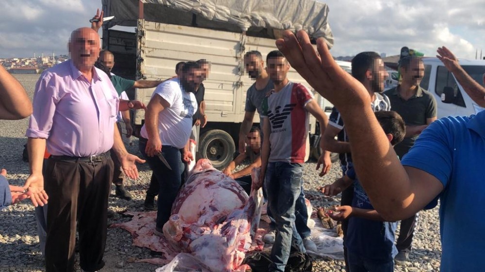 Göztepe’de kaçak kurban kesimi yapanlara zabıta müdahalesi 