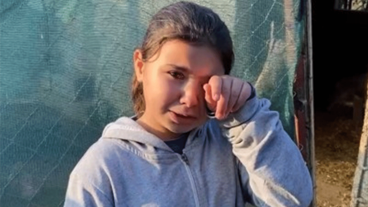 Gözü gibi baktığı kuzular ölünce gözyaşlarını tutamadı!