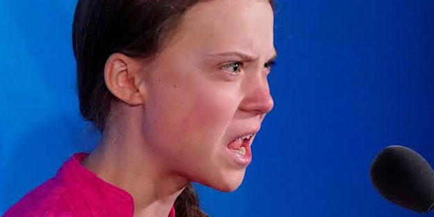 Greta Thunberg'in ismi bir böcek türüne verildi