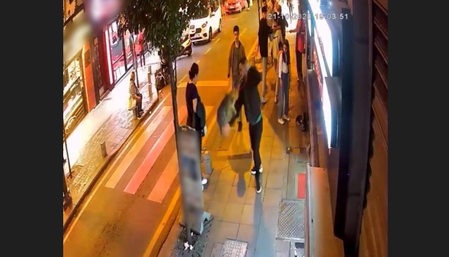 ‘Gri Aslan’ lakaplı kedi kamerada! Yoldan geçen köpekleri canından bezdirdi