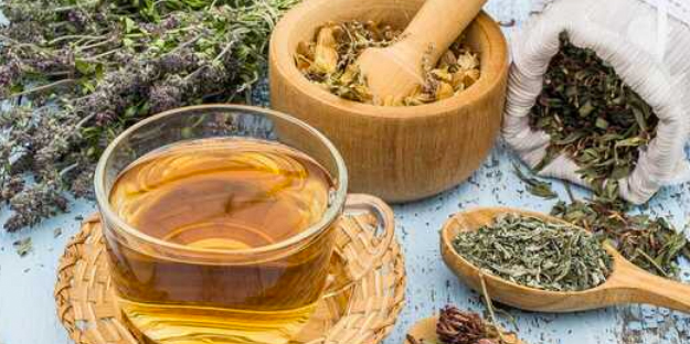 Gribe iyi gelen bitkiler: 2 katına çıkıyor, uygulamayı yapabiliriz!