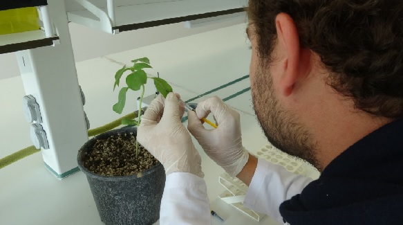 GTÜ'de tohum ve bitki sağlığı kliniği hizmete açıldı