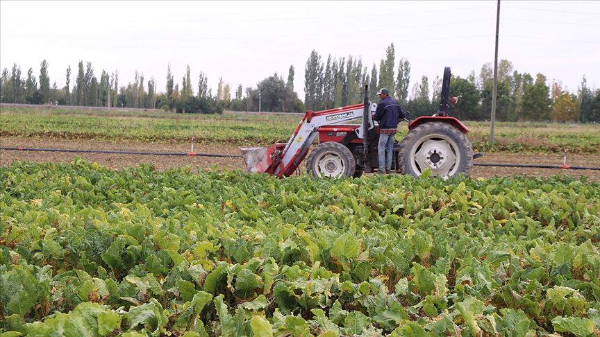 Gübre için 5 yılda 5,6 milyar dolar ithalat yapıldı