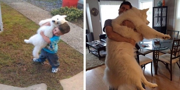 Güler misin ağlar mısın... - FOTO