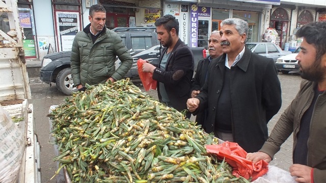 Gulik otu geçim kaynağı oldu