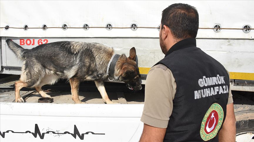 Gümrük muhafaza ekiplerinin operasyonları kaçakçılara göz açtırmıyor