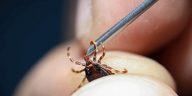 Gümüşhane, Tokat, Çorum, Zonguldak, Sivas, Yozgat ve Karabük’te yaşayanlar dikkat! Ölümlere neden oluyor