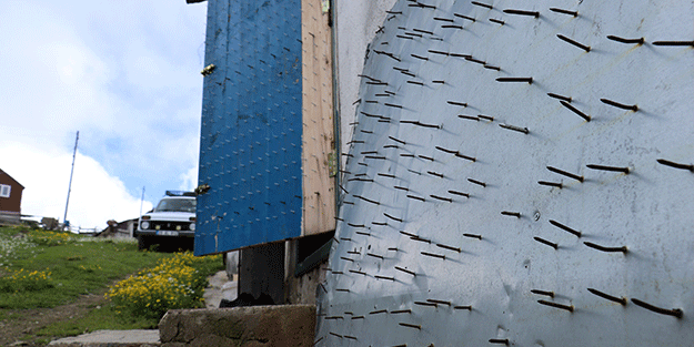 Gümüşhane’de ayı tehdidine Karadeniz usulü çözüm