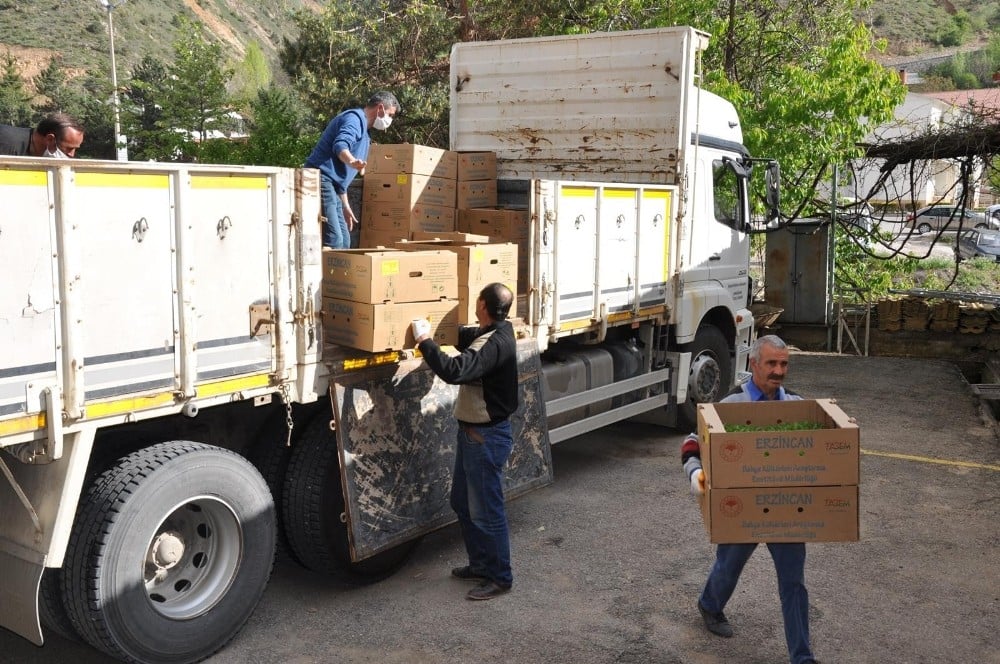 Gümüşhane’de çiftçilere 283 bin adet sebze fidesi dağıtıldı 