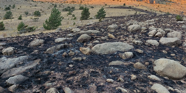 Gümüşhane’de dağlık alanda çıkan yangın söndürüldü