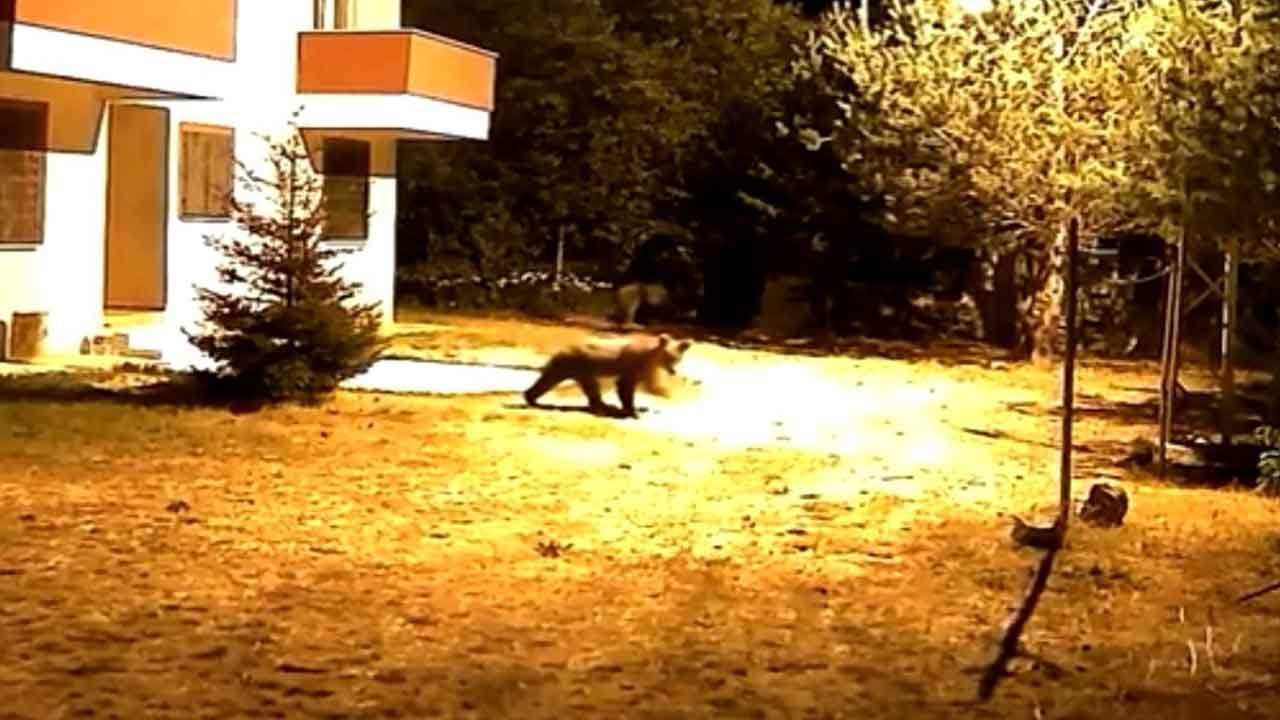 Gümüşhane’de korku dolu anlar!