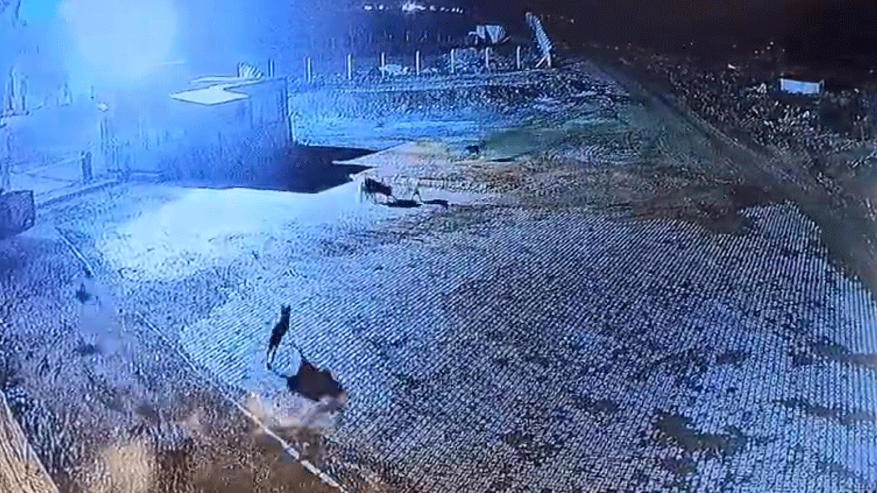 Gümüşhane'de korkunç görüntü! Kurt sürüsü bekçi köpeğini parçaladı