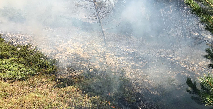 Gümüşhane’de korkutan yangın