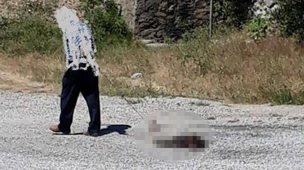 Gümüşhane'de vurduğu boz ayı yavrusunu yolda sürükledi, 17 bin lira ceza uygulandı