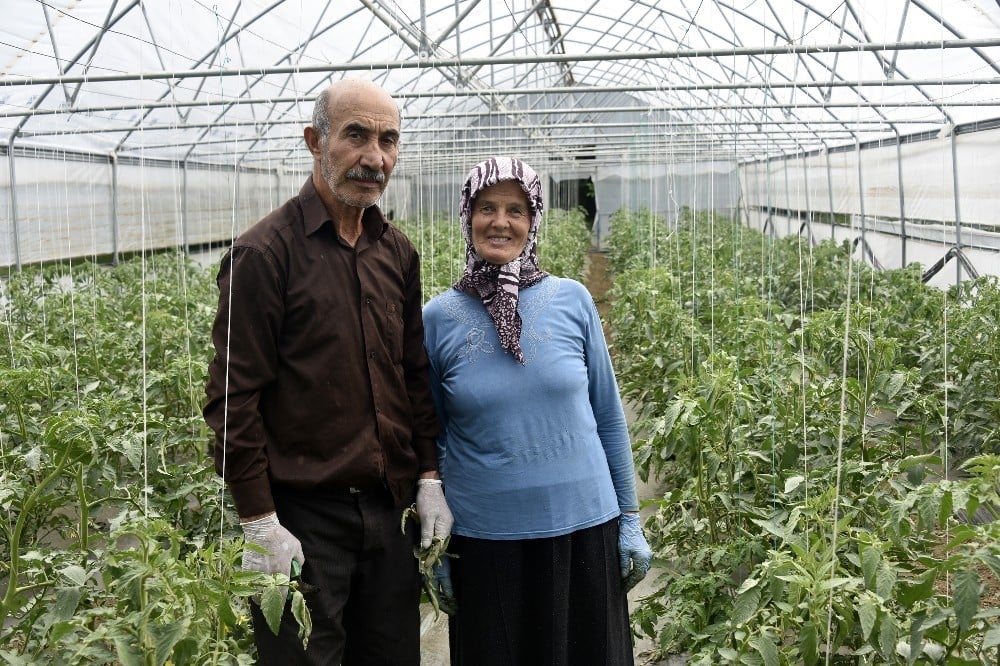 Gümüşhane’nin Çukurovası: İnkılap köyü 