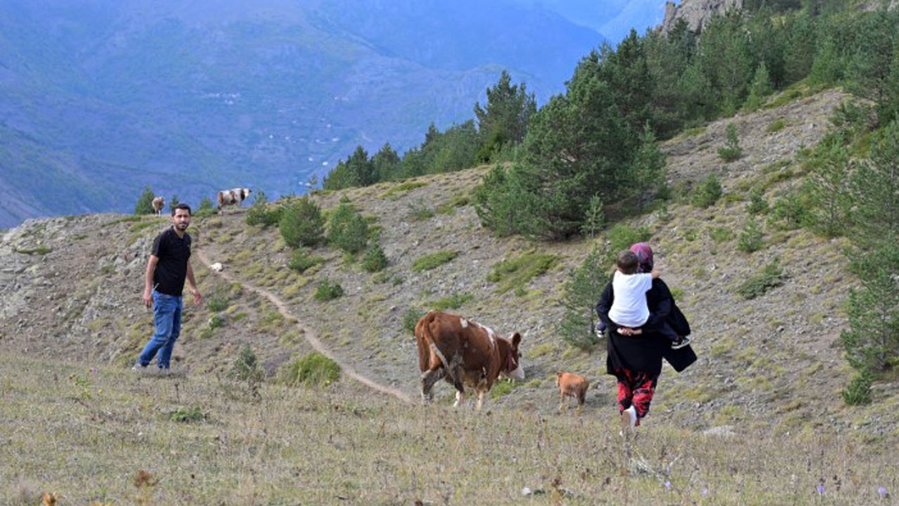 Gümüşhane’nin dağ köyünden yükselen başarı hikayesi