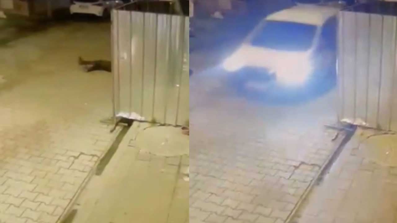 Gün yüzü göstermeyin bunlara! Polisler, bekçiler şehit olmasın, masum insanlar ölmesin