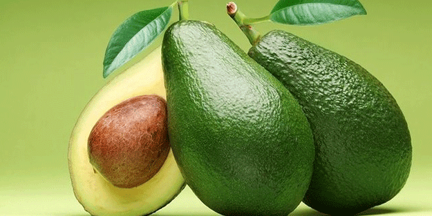 Günde 1 avokado yiyene 300 dolar...