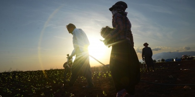 Günde 15 saat çalışmanın bedeli 12TL!