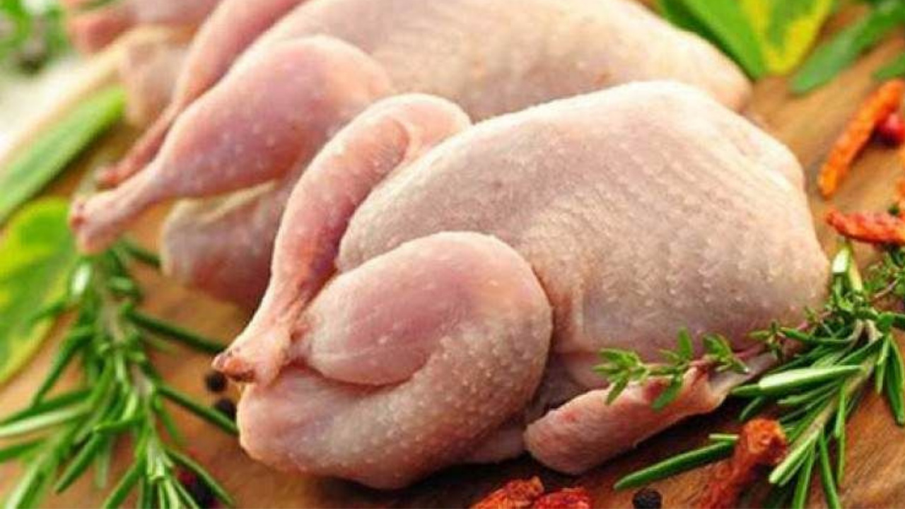 Günde 3 kilo tavuk yiyor: Yaklaşık 208 milyon TL…