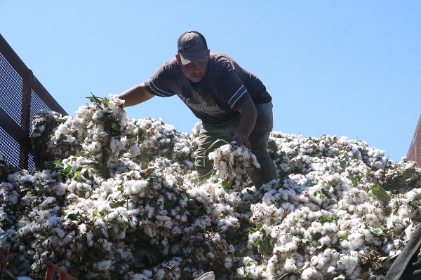 Günde 300 liraya zorlu mesai