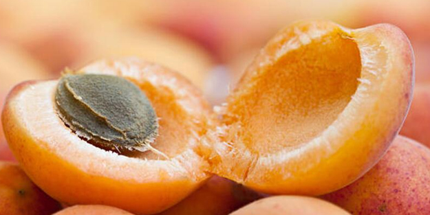 Günde 4 kayısı tüketmenin 8 önemli faydası