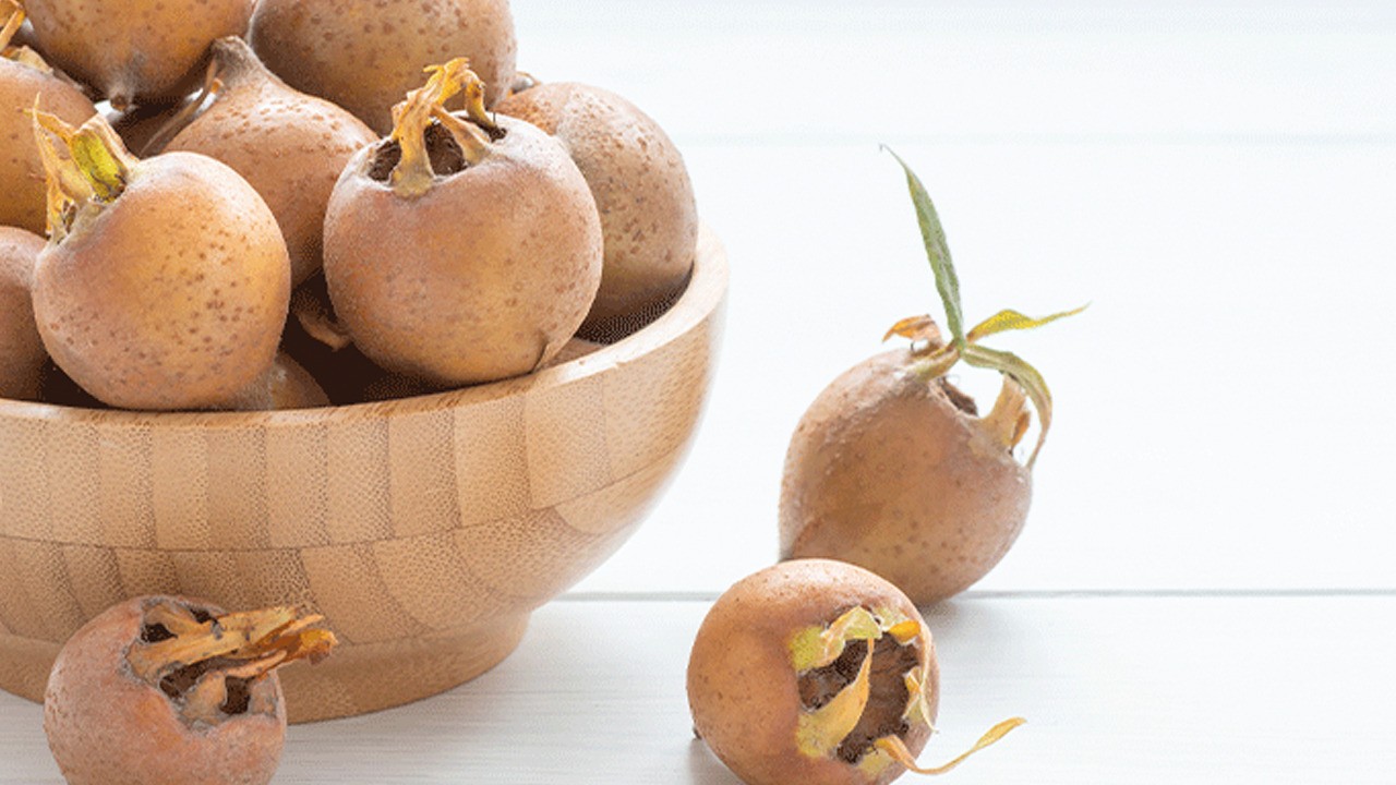 Günde 7 tane yiyince böbrekleri tertemiz yapıyor: Faydaları saymakla bitmiyor! Şifa saçıyor