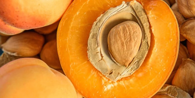 Günde bir avuç kayısı çekirdeği yiyin! İ