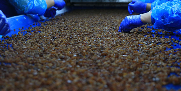 Günde bir avuç tüketirseniz bakın vücudunuzda neler oluyor!