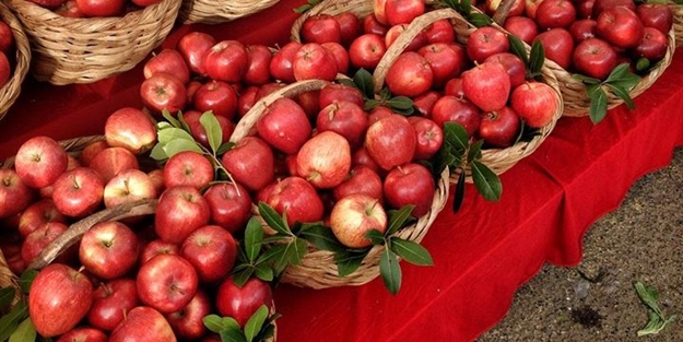 Günde bir elma tüketmenin inanılmaz faydası