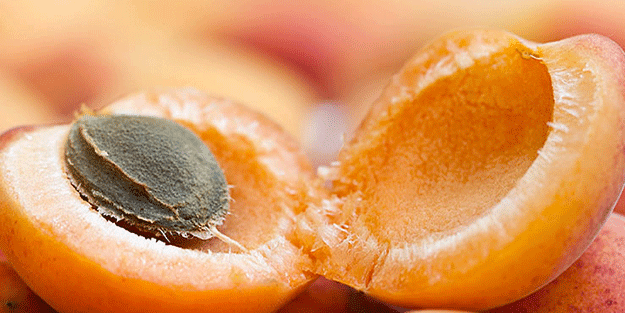 Günde sadece 6 adet tüketirseniz o hastalık yok oluyor