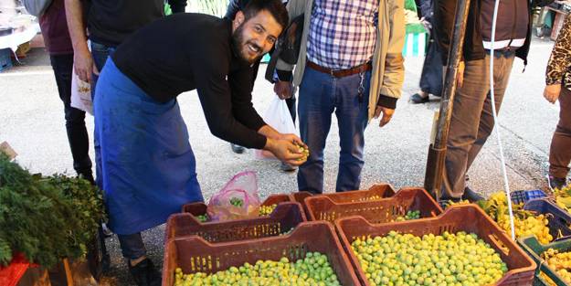 Günde yedi zeytin yiyip alzheimerdan korunun