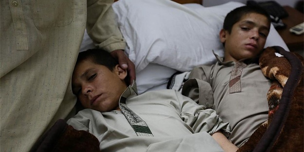 Güneş batınca bitkisel hayata giriyorlar!