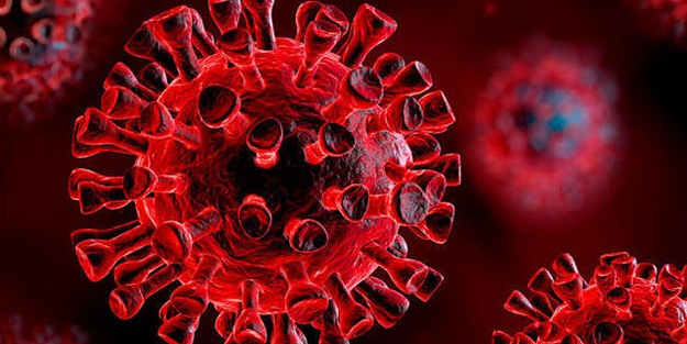 Güney Afrika Cumhuriyeti'nde vaka sayısı 866 bini geçti