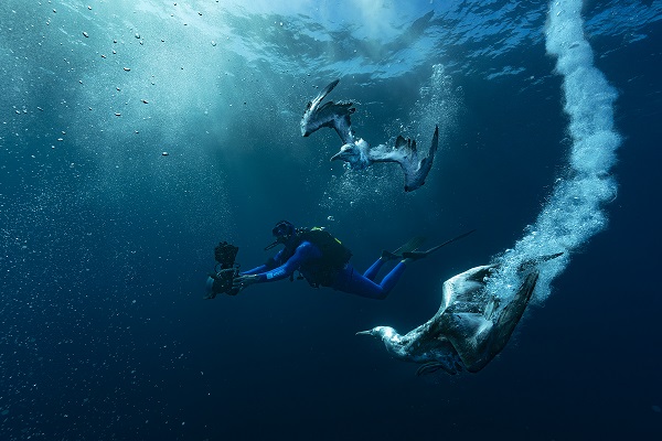 Güney Afrika’da deniz suyu ısındı!