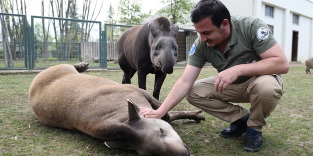 Güney Amerika'dan Bursa'ya geldiler!